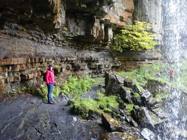 ash gill force
